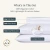 imageCalifornia Design Den Certified 100 Egyptian Cotton Sheets Queen Size Luxury Queen Sheet Set with Deep Pocket Soft Sateen Weave WrinkleResistant Cool ampamp Durable Bed Sheets White SheetsBright White