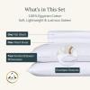 imageCalifornia Design Den Certified 100 Egyptian Cotton Sheets Queen Size Luxury Queen Sheet Set with Deep Pocket Soft Sateen Weave WrinkleResistant Cool ampamp Durable Bed Sheets White SheetsBright White