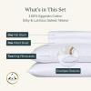 imageCalifornia Design Den Certified 100 Egyptian Cotton Sheets Queen Size Luxury Queen Sheet Set with Deep Pocket Soft Sateen Weave WrinkleResistant Cool ampamp Durable Bed Sheets White SheetsBright White