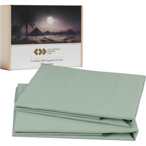 imageLuxury 100 Egyptian Cotton Pillow Cases Queen Size Set of 2 Sateen Weave Soft Breathable ampamp Cooling Bright White Pillow Cases Set of 2 for StandardQueen Size PillowsMint Green