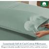 imageHeirloom Soft Smooth ampamp Thick Certified 800 Thread Count 100 Cotton Sateen is Superior to Egyptian Cotton Claims 2 White Standard Pillowcases Fits Standard ampamp Queen Size Pillows Bright WhiteSage Green