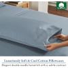 imageHeirloom Soft Smooth ampamp Thick Certified 800 Thread Count 100 Cotton Sateen is Superior to Egyptian Cotton Claims 2 White Standard Pillowcases Fits Standard ampamp Queen Size Pillows Bright WhiteBlue